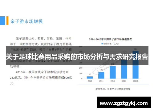 关于足球比赛用品采购的市场分析与需求研究报告